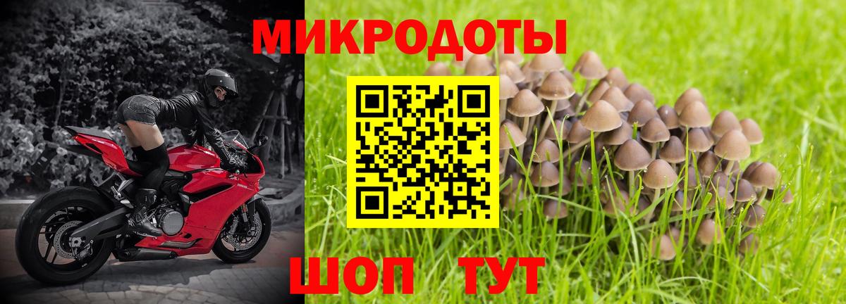 Луга  Галлюциногенные грибы прущие грибы  Галлюциногенные грибы ЛСД  Вход с VPN 